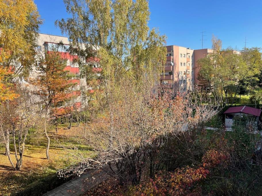 Apartment Lucky Seven Cosy 1-bedroom Apartment, Free Parking Krakau